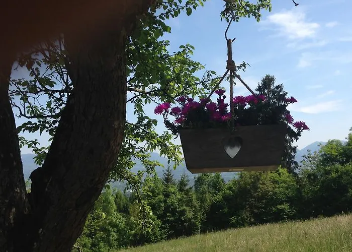 팜스테이 Dagai *